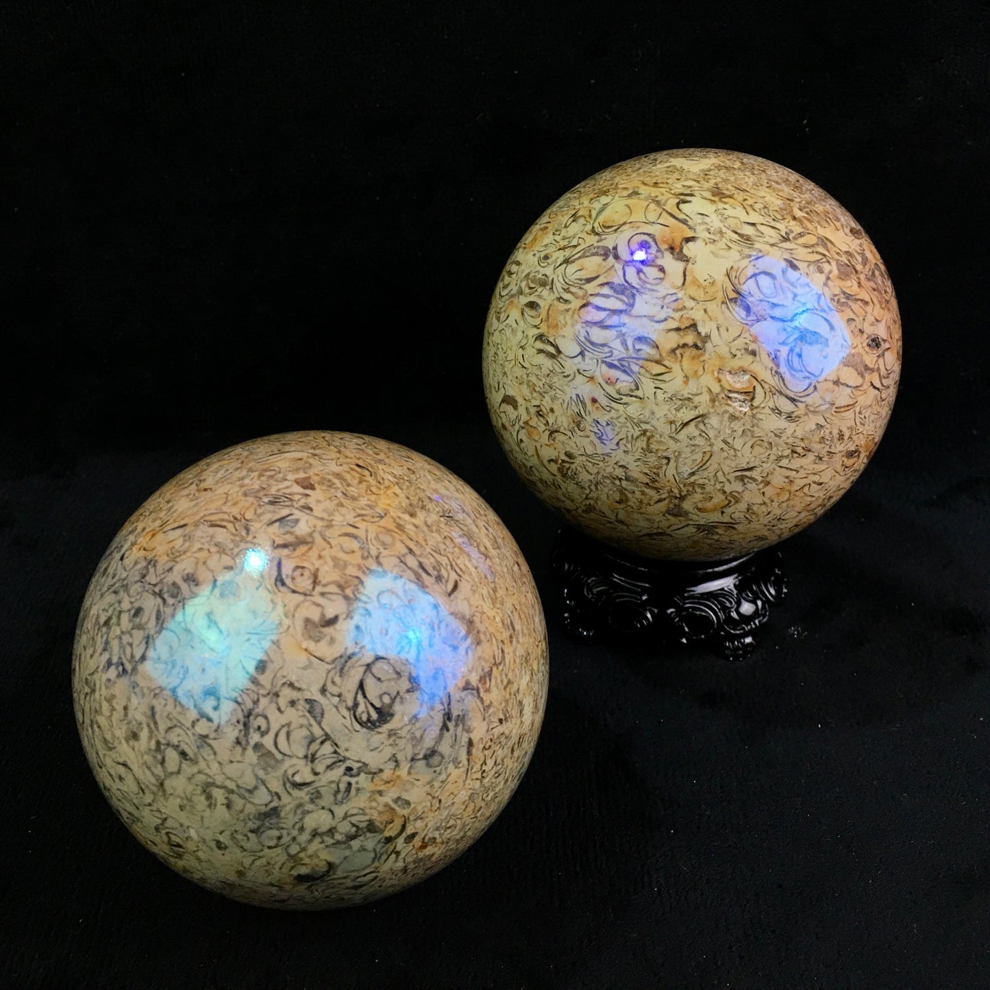 Wholesale high quality reiki natural Aura fossil Healing stone sphere （$29/kg） for decoraiotion1kg