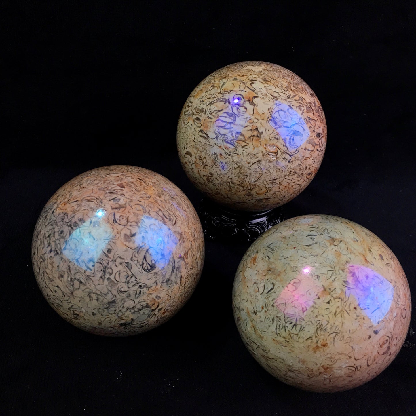 Wholesale high quality reiki natural Aura fossil Healing stone sphere （$29/kg） for decoraiotion1kg