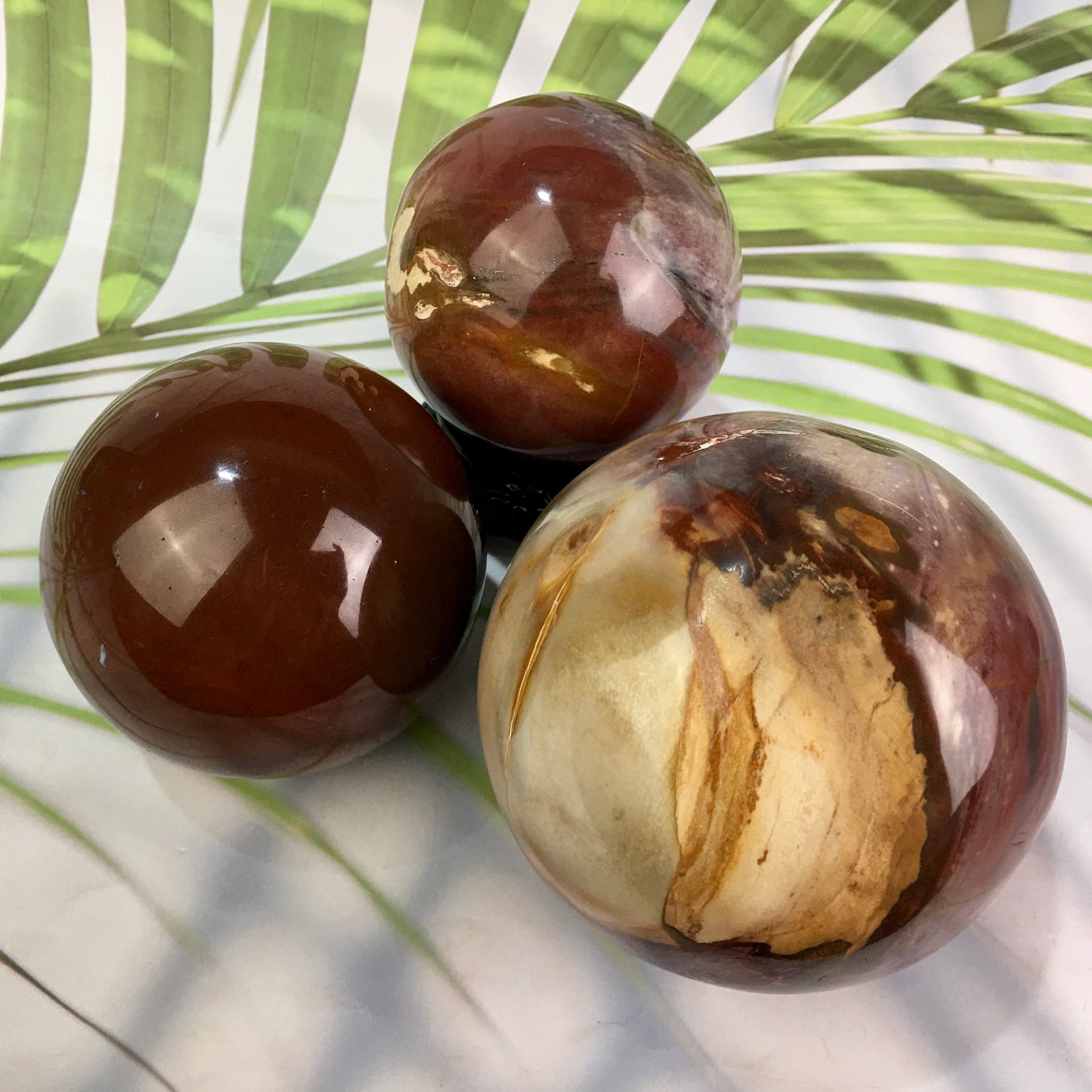 Wholesales high quality Wood fossil sphere natural healing crystal sphere gemstone for home decoration 1kg