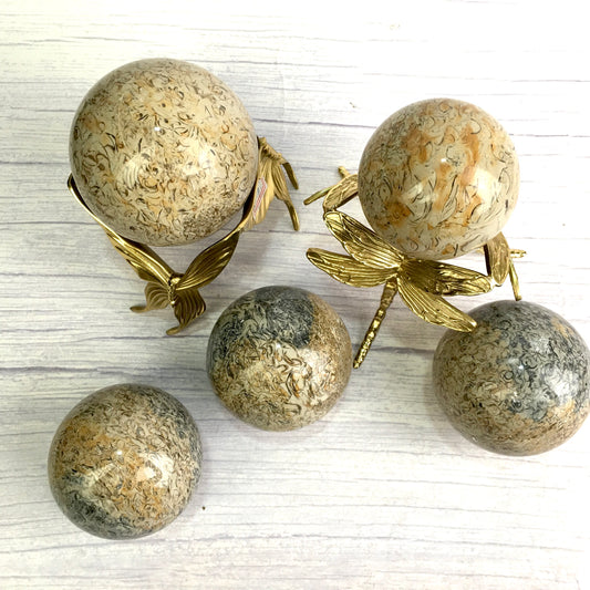 Wholesale  Natural Healing  fossil sphere for decoration 1kg